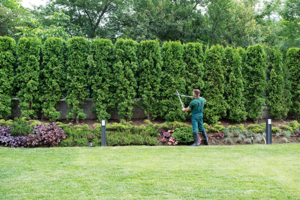 Best Tree Mulching  in Cleveland, OH